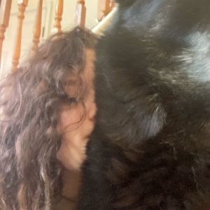 Meet your Posher, Kermit